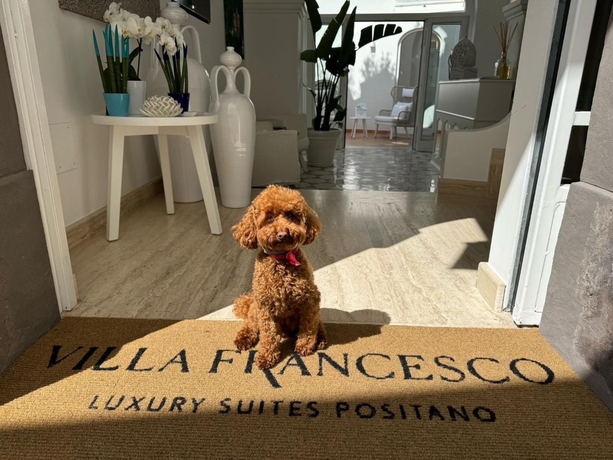 Maison d'hôtes Francesco Luxury *